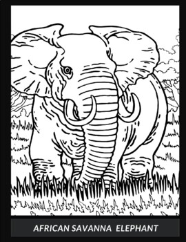 Preview of " African wildlife " coloring page set.
