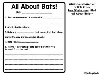 write a feature article about bats for a newspaper