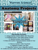 !!!Anatomy Project Bundle!!!