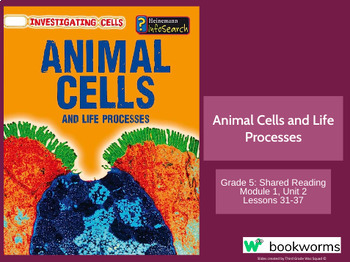 Preview of "Animal Cells and Life Processes" Google Slides- Bookworms Supplement
