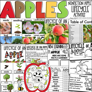 Preview of  Apple Lifecycle Nonfiction Informational Text Unit