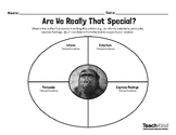 'Are We Really That Special?' Author's Purpose Graphic Organizer