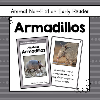 Preview of "Armadillos" | Animal Nonfiction Early Reader Book and Comprehension Questions 