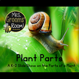 Plant Parts Slide Show