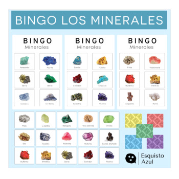 Namvo Juego de 20 piezas de minerales naturales mixtos de piedras naturales  fósiles animales para la escuela educación geológica decoración del hogar