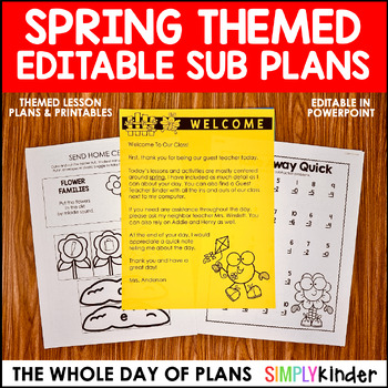 Preview of *BUNDLE SALE* Spring No-Prep Activities, Editable Emergency Sub Plans, Packet