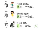 [Bilingual] English & Chinese - He She It Pronouns Expansion Pack