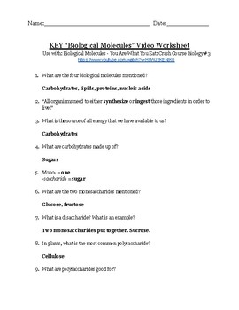 Biological Molecules Worksheet Answers - Promotiontablecovers