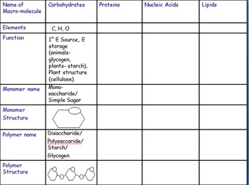 Preview of "Biomolecule" Organic Chem Modeling/Identification Activities- Common Core NGSS