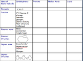 "Biomolecule" Organic Chem Modeling/Identification Activit