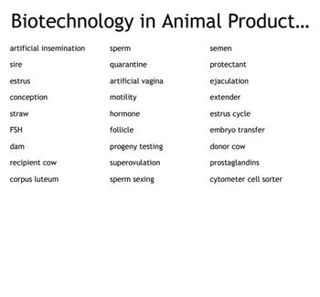 Biotechnology in Animal Production