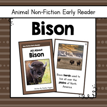 Preview of "Bison" | Animal Nonfiction Early Reader Book and Comprehension Questions