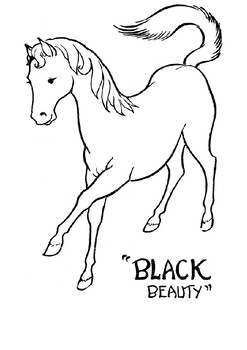 'Black Beauty' Coloring by MrFitz | TPT