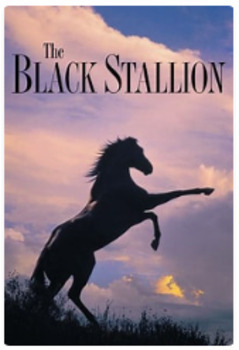 Preview of "Black Stallion" movie packet