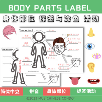 Preview of 身体部位 标签活动 Body Parts Label Activity Freebie