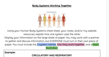 Preview of "Body Systems Working Together" Project Outline