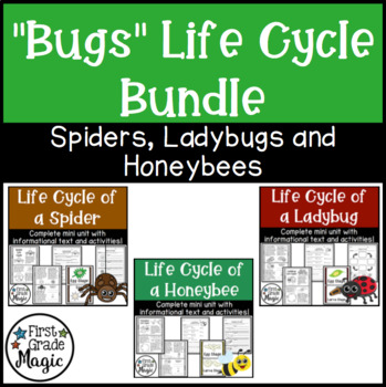 Preview of "Bugs" Life Cycle Comprehension Bundle