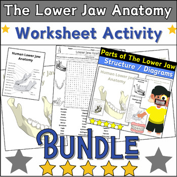 Preview of ✅Bundle✅ The Lower Jaw Anatomy Activities: Coloring & Labeling,Word Search ⭐