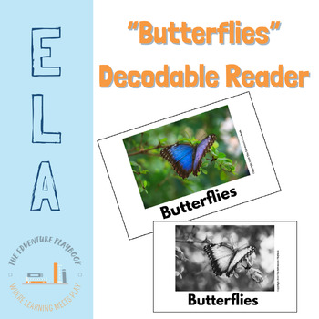 Preview of "Butterflies" R-Control Decodable Reader and Game