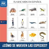 ⭐¿CÓMO SE MUEVEN LAS ESPECIES?⭐ FLASHCARDS EN ESPAÑOL