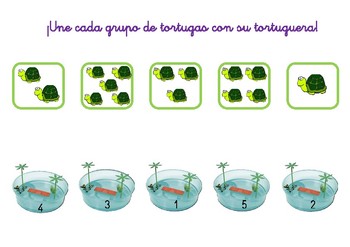 Preview of ¡Cada grupo de tortuga con su tortuguera! CASTELLANO