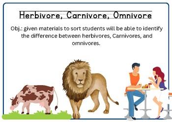 Carnivore, Herbivore, Omnivore: Animal Sort by Green Team Learning
