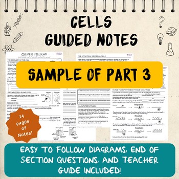 Preview of Cell Guided Notes, Sample of Part 3