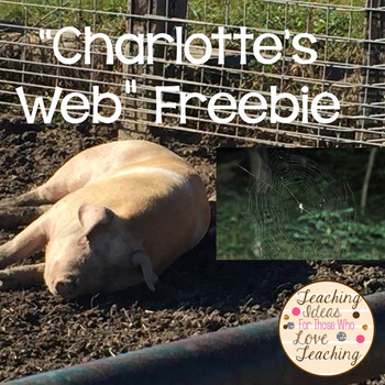 Preview of Charlotte's Web Freebie