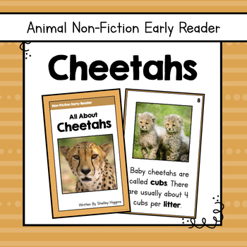 Preview of "Cheetahs" | Animal Nonfiction Early Reader Book and Comprehension Questions 