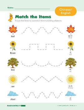 Preview of ⭐ Chinese-English: Match the Items Worksheet Activities, Nature-Themed ⭐