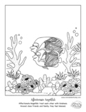"Color Your Emotions" coloring book page for socio-emotion