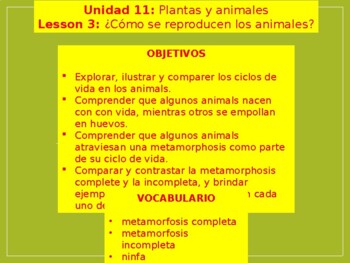 ¿Cómo se reproducen los animales? by Juan Sanchez | TPT