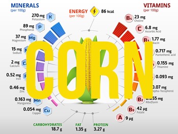 Preview of (Corn) Nutritional information & percentage composition charts