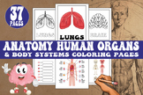 Human anatomy body coloring pages