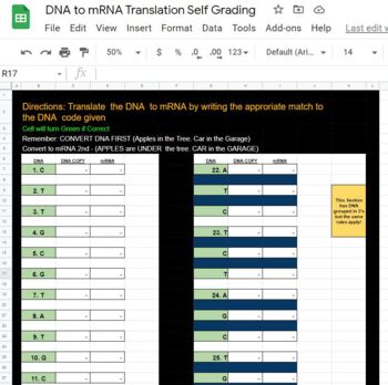 Preview of ✏️DNA to mRNA Translation Self Grading