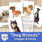 Dog Breeds. Cards and Facts