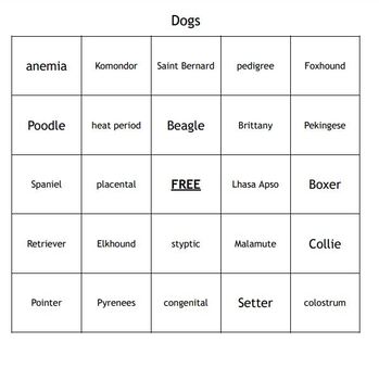 dog class bingo cards