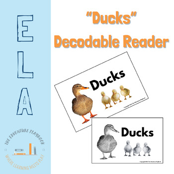 Preview of "Ducks" Double Consonant Decodable Reader and Game