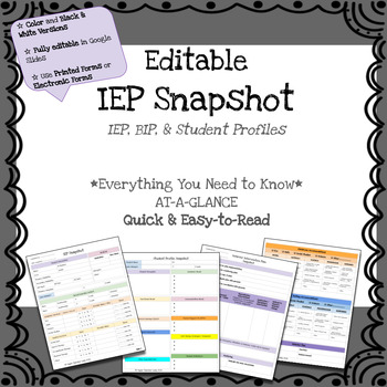 Preview of IEP Snapshot - IEP At-a-Glance - Quick IEP *Fully Editable*