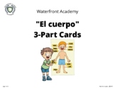 "El cuerpo" Montessori 3-part cards (cursive)