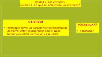 ¿En qué se diferencian los animales? Adaptaciones by Juan Sanchez