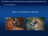 'Endangered Species' ('Rainforests' topic) - powerpoint su