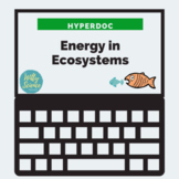  Energy Flow in Ecosystems Hyperdoc