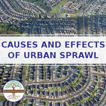 Preview of Causes and Effects of Urban Sprawl - Science Worksheet Printable or Google