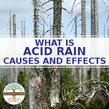 Preview of What Is Acid Rain - Causes and Effects - Science Worksheet Printable or Google