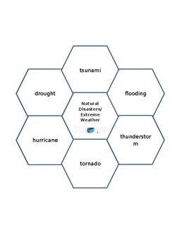Preview of "Extreme Weather" Vocabulary Flower