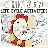 Chicken Life Cycle Activities | Life Cycle of Chicken Craft