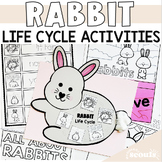 Rabbit Life Cycle Activities  | Life Cycle of Rabbit Craft