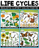 Realistic Life Cycle Mega Bundle Set 2 {Zip-A-Dee-Doo-Dah 