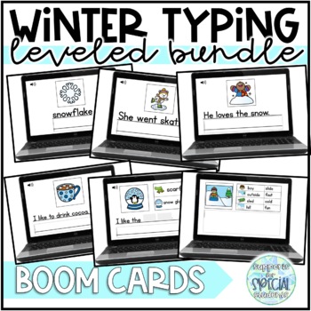 Preview of Digital Winter Typing Bundle - Boom Cards Distance Learning